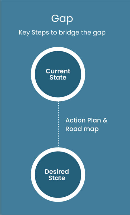gap assessment